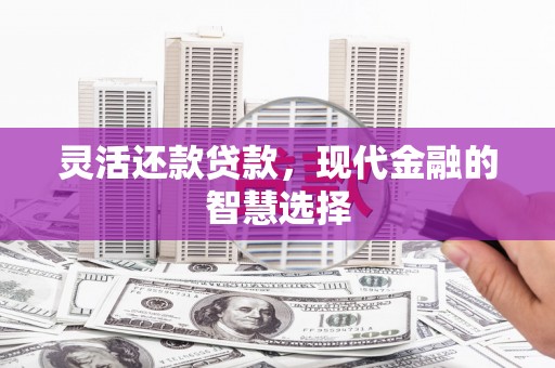 葵青灵活还款贷款，现代金融的智慧选择