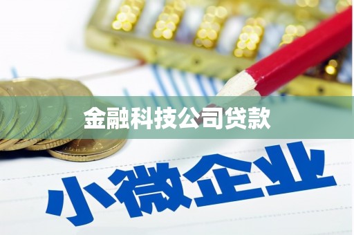 葵青金融科技公司贷款