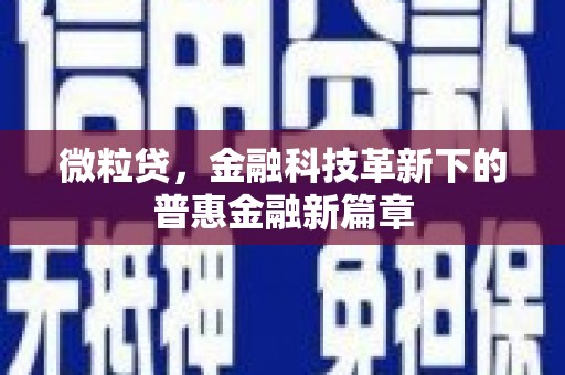 葵青微粒贷，金融科技革新下的普惠金融新篇章