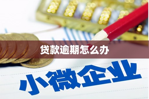 葵青贷款逾期怎么办