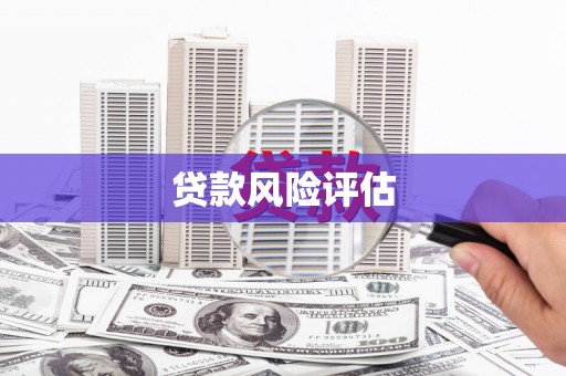 葵青贷款风险评估