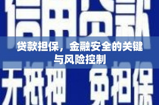 葵青贷款担保，金融安全的关键与风险控制