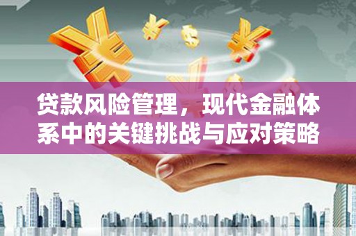 葵青贷款风险管理，现代金融体系中的关键挑战与应对策略
