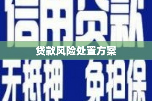 葵青贷款风险处置方案