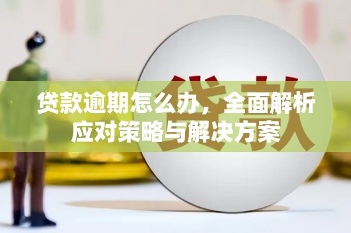 葵青贷款逾期怎么办，全面解析应对策略与解决方案