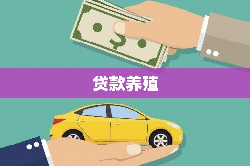 葵青贷款养殖