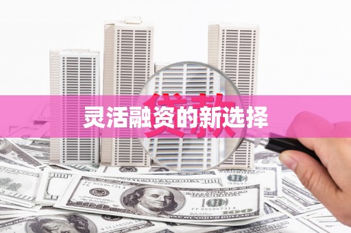 葵青灵活融资的新选择