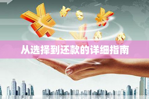 葵青从选择到还款的详细指南