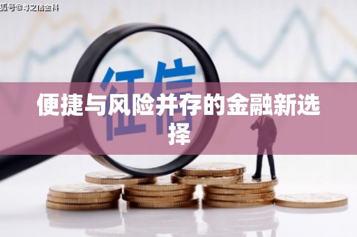 葵青便捷与风险并存的金融新选择