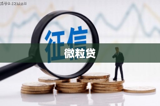 葵青微粒贷
