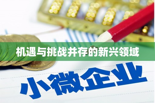 葵青机遇与挑战并存的新兴领域