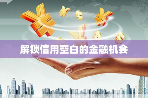 葵青解锁信用空白的金融机会