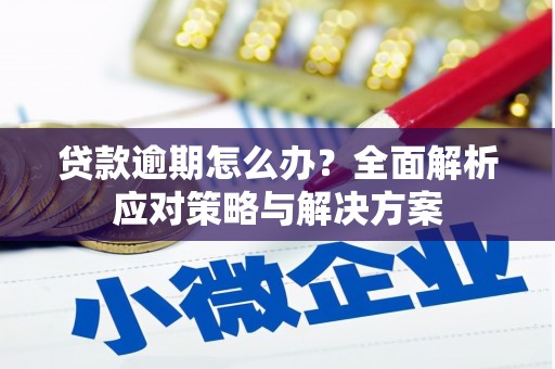 葵青贷款逾期怎么办？全面解析应对策略与解决方案