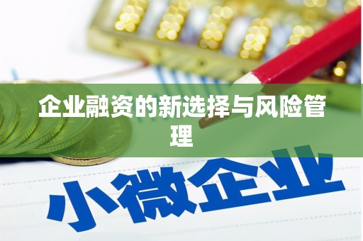 葵青企业融资的新选择与风险管理