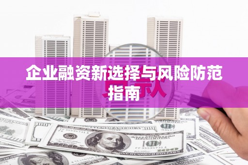 葵青企业融资新选择与风险防范指南