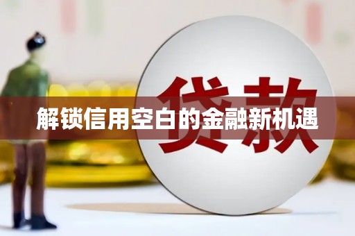 葵青解锁信用空白的金融新机遇
