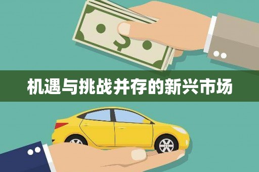 葵青机遇与挑战并存的新兴市场