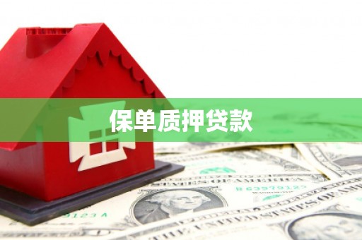 葵青保单质押贷款