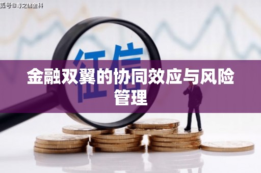 葵青金融双翼的协同效应与风险管理