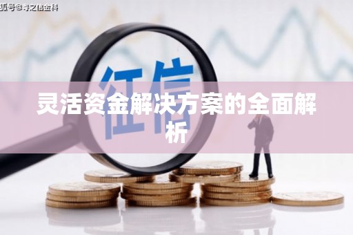 葵青灵活资金解决方案的全面解析