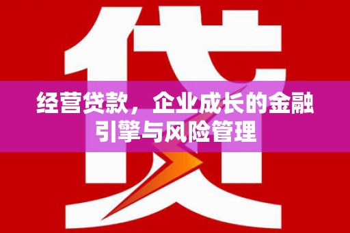 葵青经营贷款，企业成长的金融引擎与风险管理